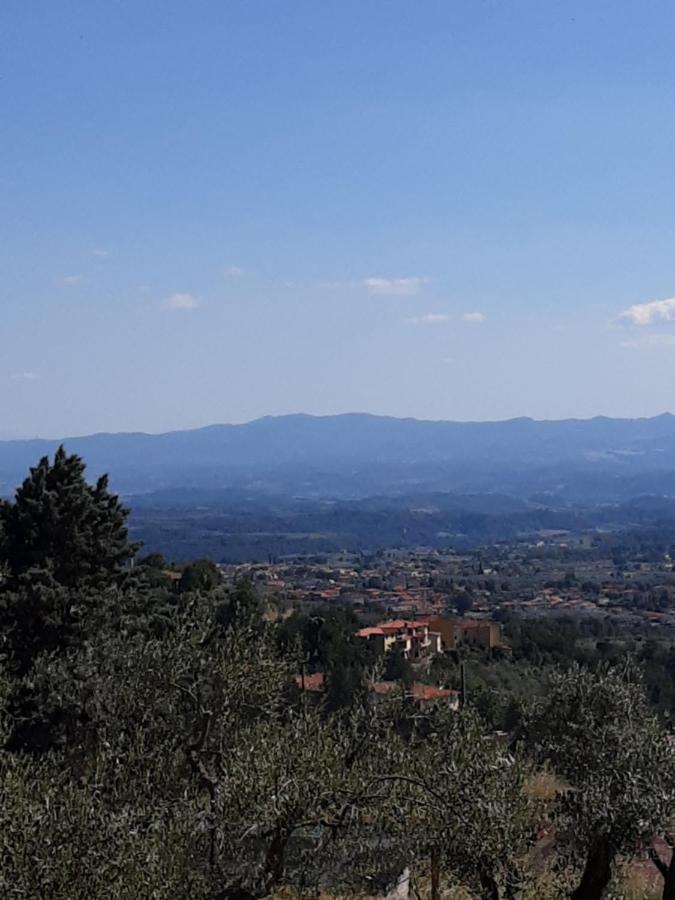 Agrifarm La Corte Apartment Villa Bensi Bagian luar foto
