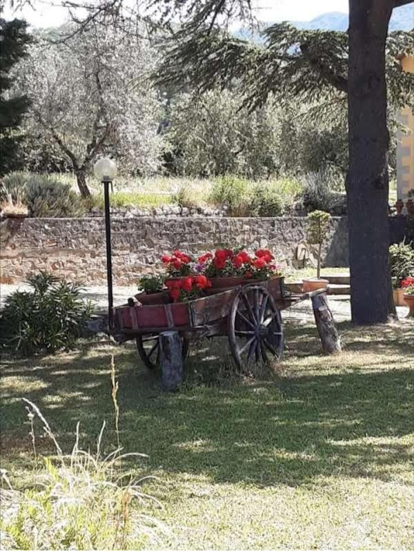 Agrifarm La Corte Apartment Villa Bensi Bagian luar foto